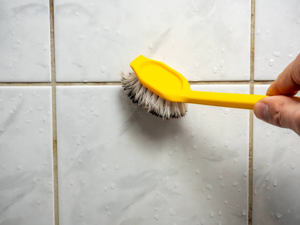 Best Toxic Mold Removal  in Trumbull Center, CT