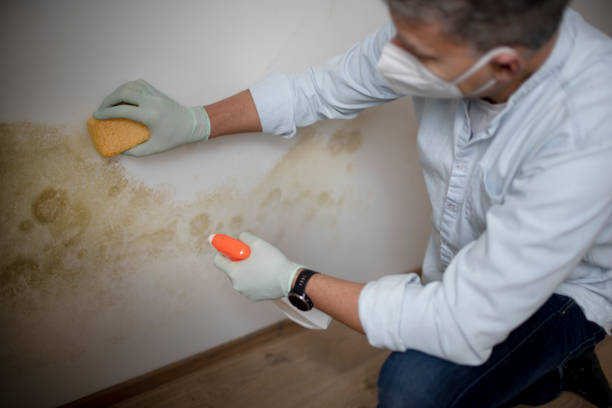 Best Water Damage Restoration  in Trumbull Center, CT