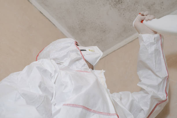 Best Mold Damage Repair  in Trumbull Center, CT