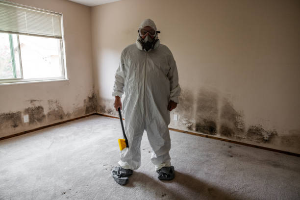Best Affordable Mold Removal  in Trumbull Center, CT